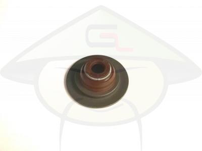 Колпачок маслосъемный Zotye T600 1,5 (6 mm)-2